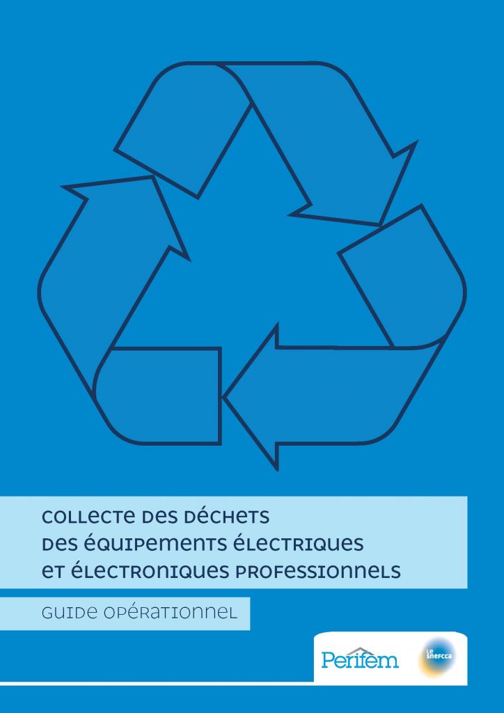 2517260439_643_pages-de-guide-deee-19-10-2022-avec-compression.pdf.jpg