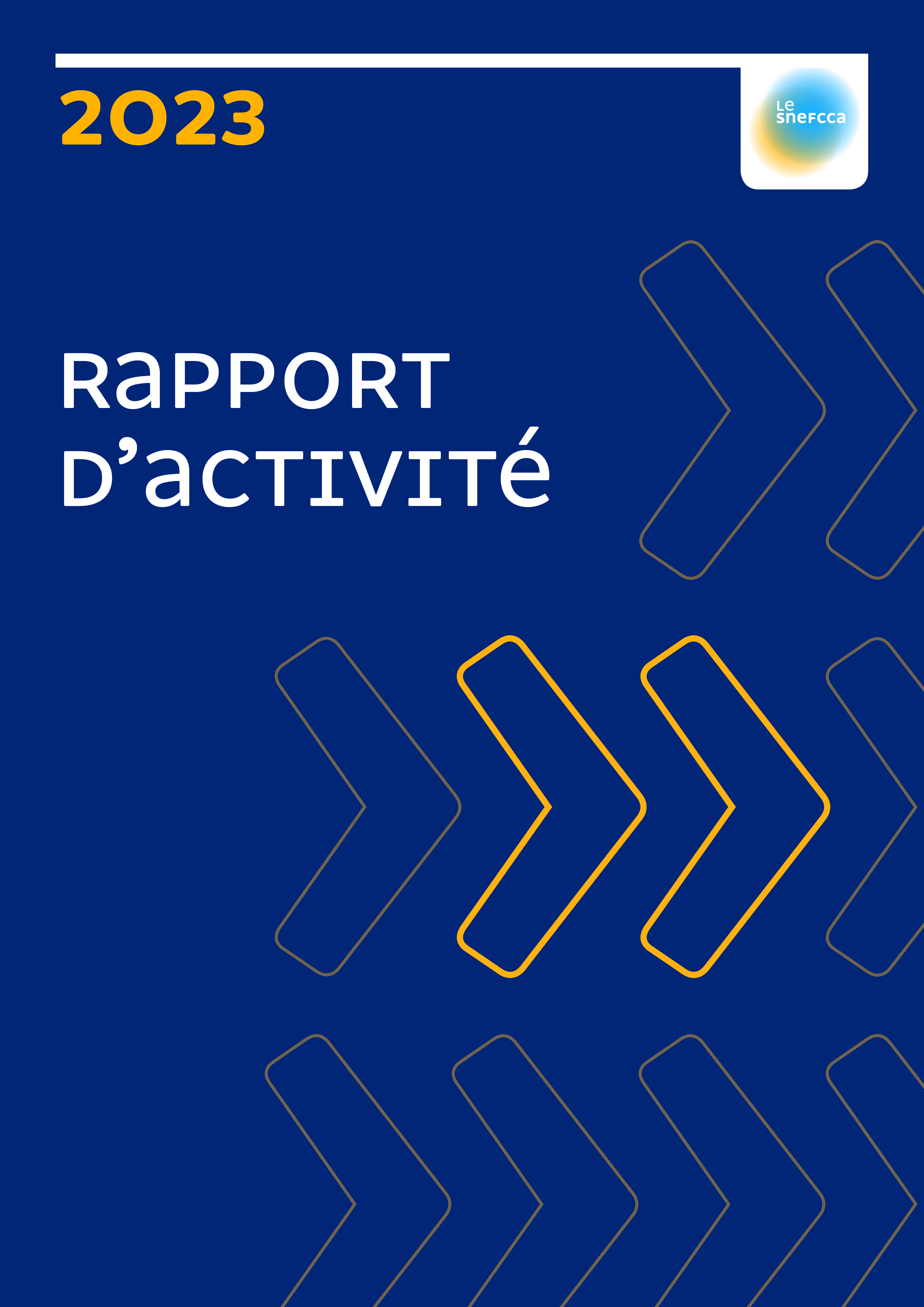 Rapport d'activités Snefcca 2023