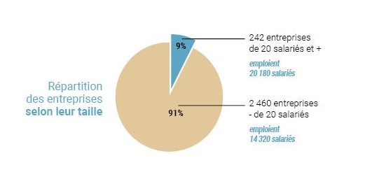 Schéma entreprise du secteur EB 2024